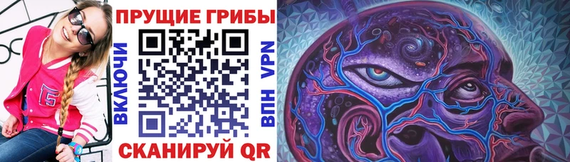 Псилоцибиновые грибы ЛСД  Амурск 